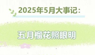 【凌霄拾光记】2025年5月大事记