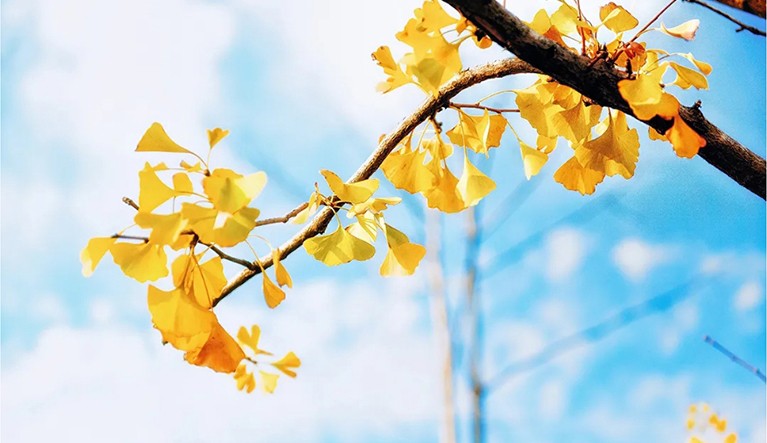 同心协力奋楫扬帆    深度融合共促发展