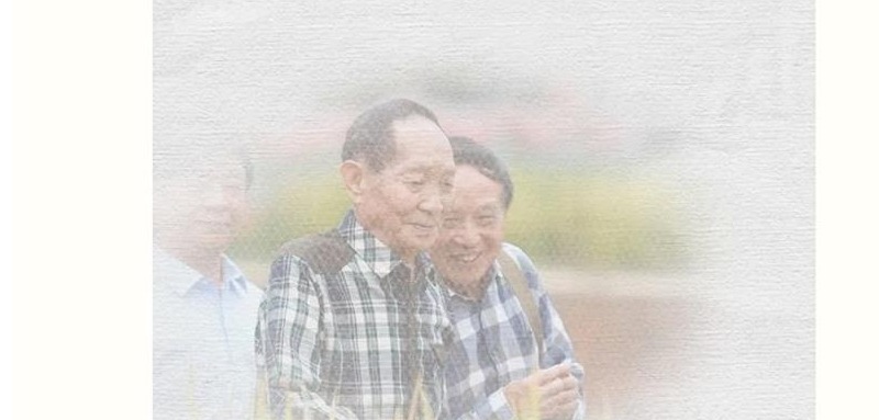 稻花香里忆起您——袁隆平