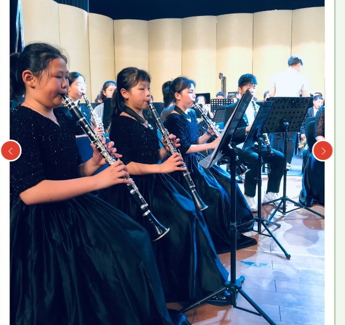 【凌霄新闻台】宝带实小“爱乐乐团” 市赛喜获一等奖，向省赛进发！