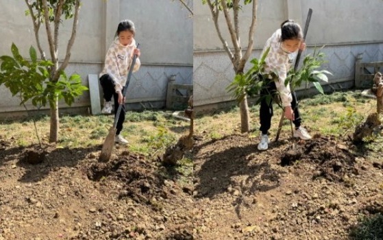 【凌霄新闻台】植绿护绿宝小娃 花红柳绿苏城美——2022年凌霄学子植树节系列主题活动