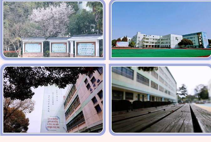 【凌霄新闻台】一花一木皆有情，一步一景盼生归
