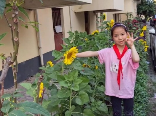 【凌霄好少年】2023第三十三期 落笔有韵，唱响童年赞歌