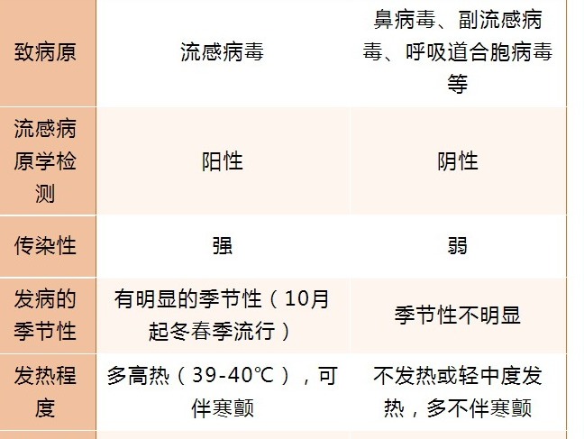【凌霄新闻台】宝带实验小学十月健康提示